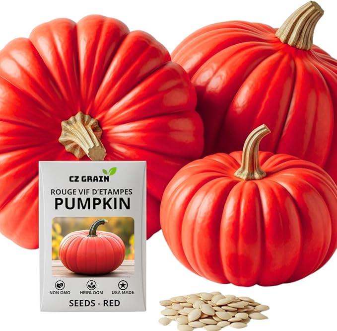 Rouge VIF d'Étampes Pumpkin Seeds for Planting (10 Seeds) – Grow Beautiful Deep Red Cinderella Pumpkins | Heirloom Variety, Easy to Grow, Perfect for Fall Décor and Baking