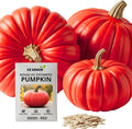 Rouge VIF d'Étampes Pumpkin Seeds for Planting (10 Seeds) – Grow Beautiful Deep Red Cinderella Pumpkins | Heirloom Variety, Easy to Grow, Perfect for Fall Décor and Baking