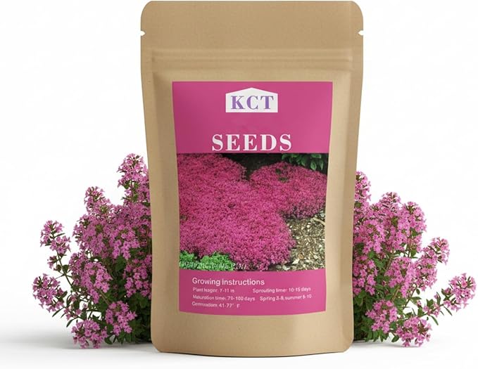 20,000+ Creeping Thyme Seeds Ground Cover, Non-GMO Perennial Flower Seeds, Hardy Thymus Serpyllum, Creeping Phlox Alternative for Landscaping & Garden Paths (Hot Pink)