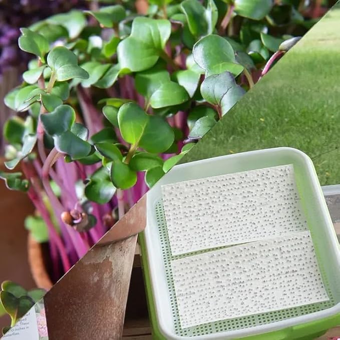 Park Seed Easy DIY Planting Sow Effortless Collection Seed Mats, Organic Radish Sangria Microgreen, (Set of 2)