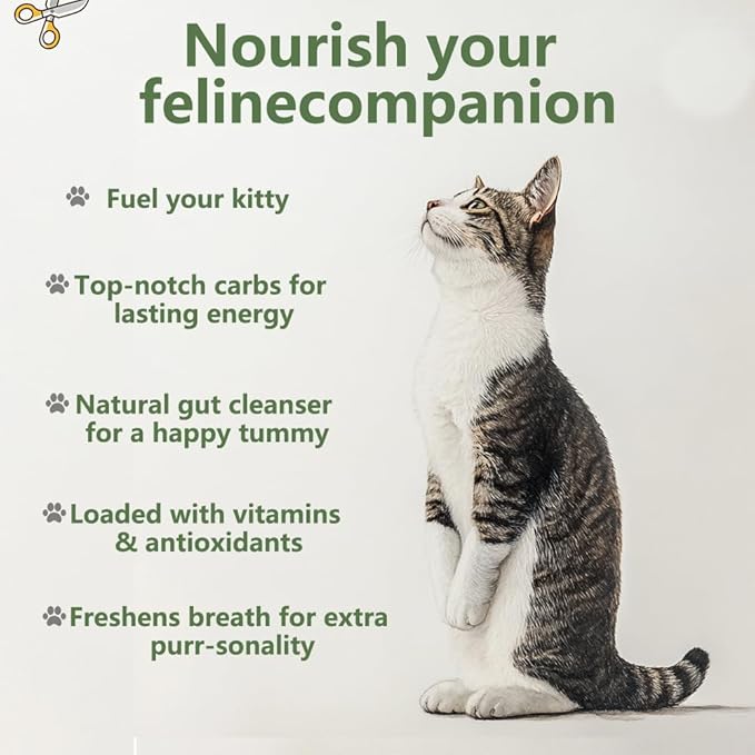 Cat Grass Kit for Indoor Cats, 3 Pack Fast Growing Cat Grass Kit with Eco-Friendly Biodegradable Pots, Soil & Organic Wheatgrass Seeds, Grows in 3-7 Days with High Germination Rate