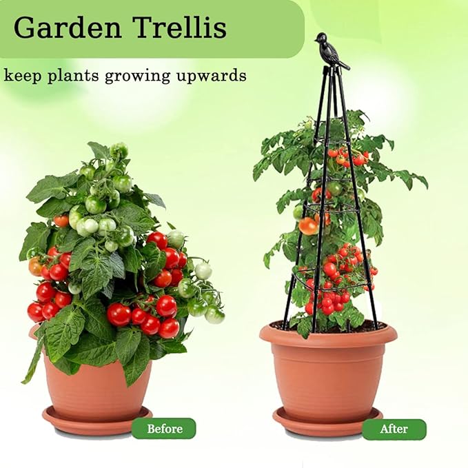 Garden Trellis for Climbing Plants,63inch Tall Plants Trellis Support with Adjustable Stake Arms,Plastic Coated Rustproof Metal Pipe Supports for Outdoor Indoor, Potted Plants, Tomato, Rose,1pack