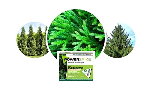 Power Spike for EVERGREENS, Fertilizer Spike. Essential Nutrient Spike Fortified with Iron to Feed All Types of evergreens and Address Common Deficiencies (20 Spikes - 6.4 lbs) (20)