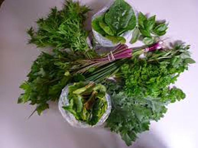 Parsley, Italian Dark Green Flat Leaf Parsley Seeds, Heirloom, Non GMO, 100 Seeds, Parsley Seeds