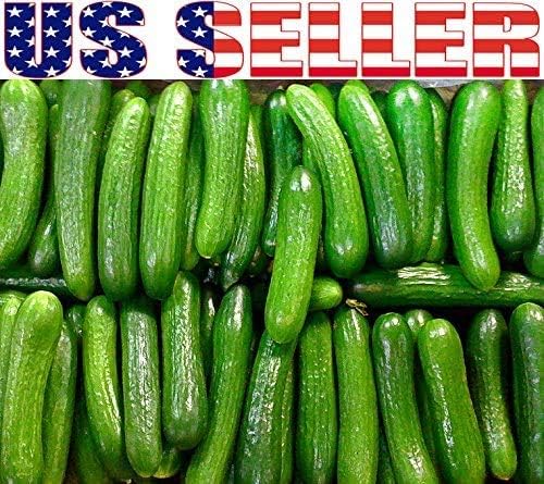 100 Cucumber Mix Seeds 12 Varieties Non-GMO Delicious and Crispy, Rare and Super Prolific, Cucumis sativus, Grown in USA