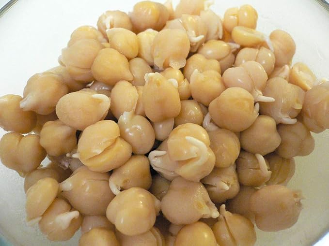 Peyton's Protein Mix Seeds for Sprouting Microgreens,4 Ounces,"COOL BEANS n SPROUTS" Brand, A superfood Packed with antioxidants. A Small Town Family Run USA Business.Thank You !