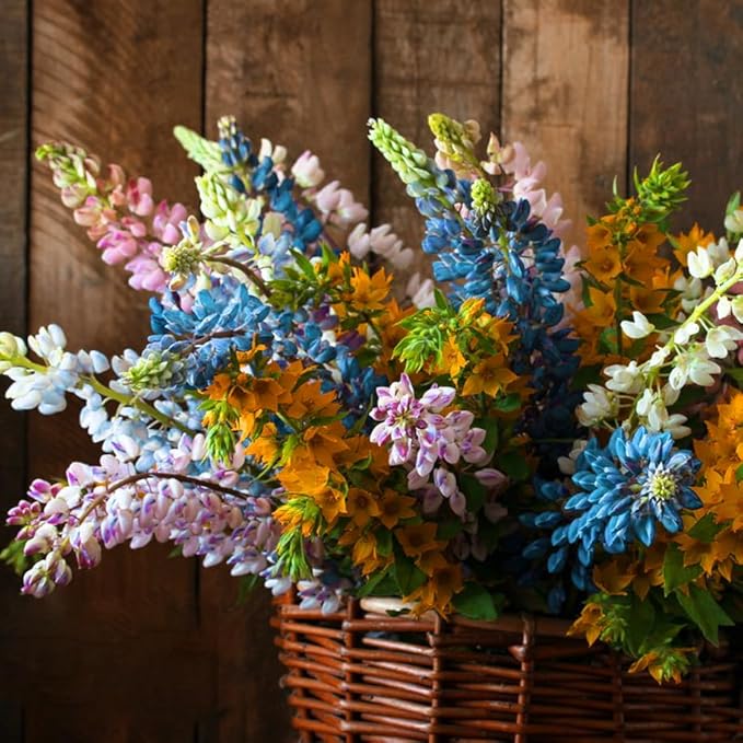 Mixrug Lupine Seeds for Planting, 750pcs Russell Lupin Perennial Flower Seeds Non-GMO Heirloom Rare Plants, Open Pollinated Beauty Home Garden for Outdoors
