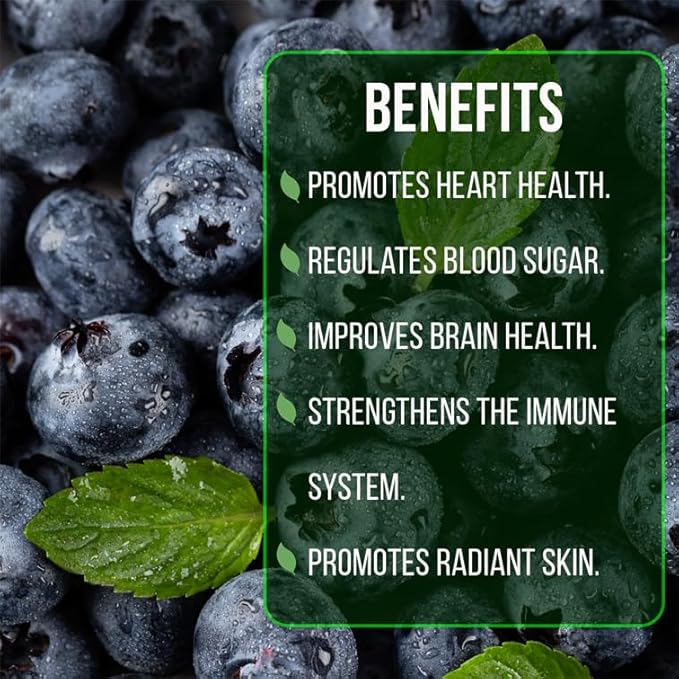 Blueberry Plant Reka Live for Sale (4 Pack) | Easy to Grow Plants | Edible Fruit Plant for Sustainable Living | Grow Your own Food on Your Edible Organic Garden| Live for Planting| No Seeds