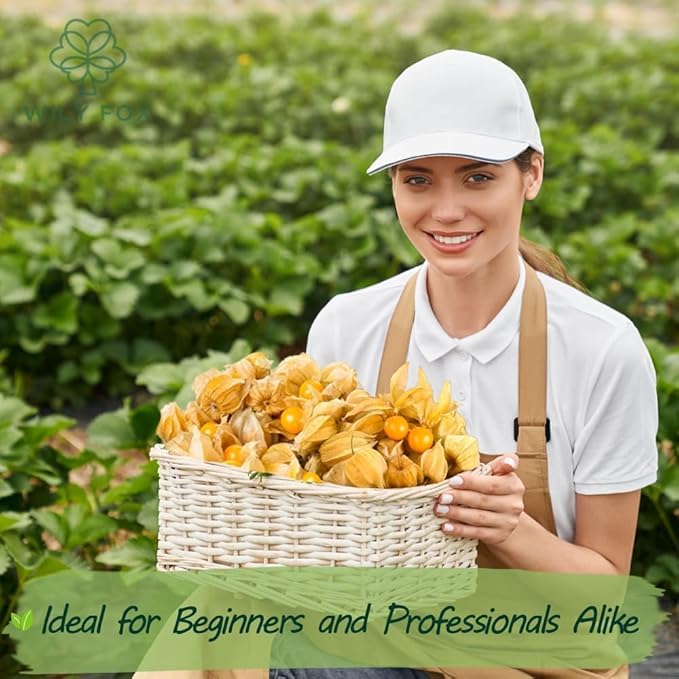 Premium Cape Gooseberry Seeds (Physalis peruviana) – 700+ Non-GMO Heirloom Seeds for Planting – Sweet, Tangy Ground Cherries with High Germination Rate
