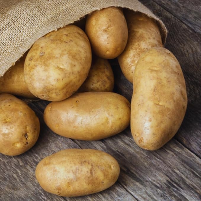 2 Lbs Yellow Potato Tubers High Yielding for Outdoor Planting,Vegetables Potatoes Plants Bulbs Seeds, Heirloom Seed Potato Live Tuber