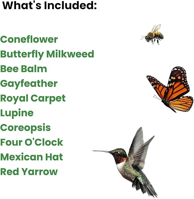 Garden Peeps Perennial Wildflower Pollinator Seed Pack - 10 Unique Varieties, 100% Pure, Non-GMO, Eco-Friendly Seeds for Year-Round Blooms