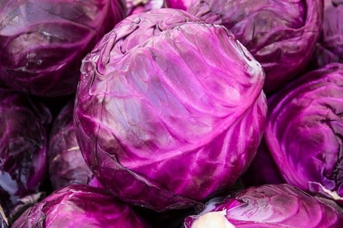 Seeds Vegetable Cabbage Purple - 150 Seeds
