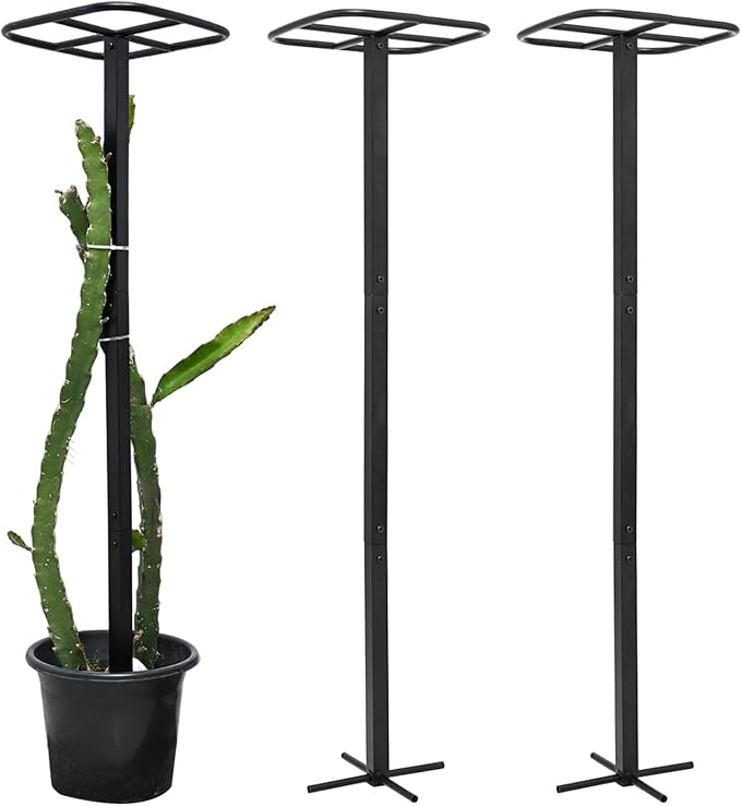2-Pack Metal Dragon Fruit Trellis - Durable Vertical Garden Support for Climbing Plants, Easy to Assemble, 12x12x50 Inches for Dragon Fruit Enthusiasts