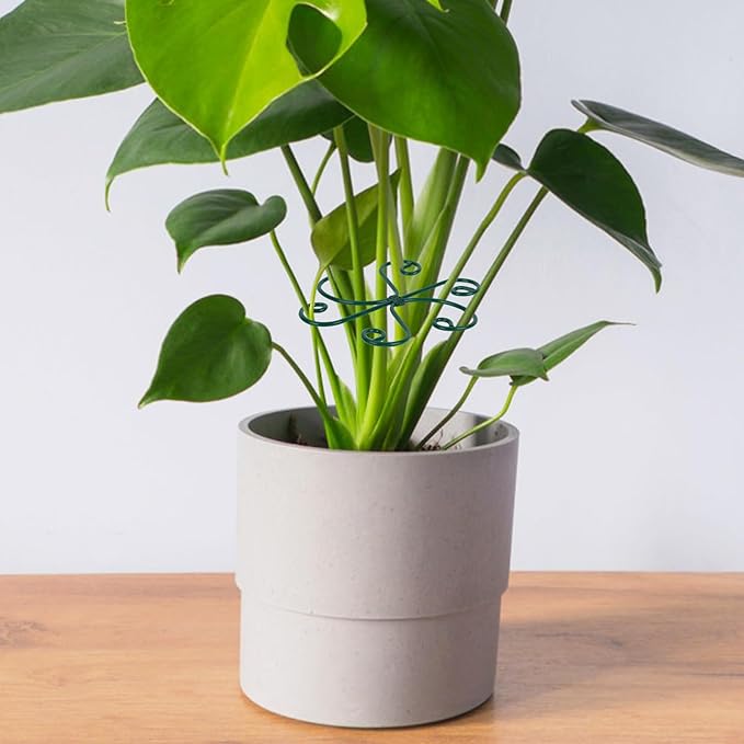 4pcs Monstera Support, Green Iron Plant Stabilizer Stable Plant Stem Support Structures for Indoor & Outdoor Thriving Growth