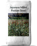 Outsidepride 5 lb Japanese Millet Pasture Seed for Planting