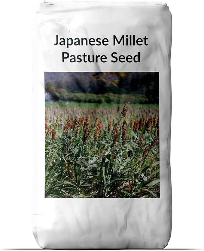 Outsidepride 5 lb Japanese Millet Pasture Seed for Planting
