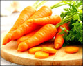 Vegetable Garden Seeds for Planting - Grow Heirloom Vegetables (Tendersweet Carrots)