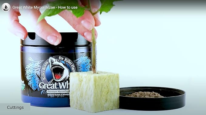 Great White Mycorrhizal Fungi 1 oz, Beneficial Bacteria for Plant Growth, Root Stimulator, Concentrated 3-in-1 Formula by Plant Success