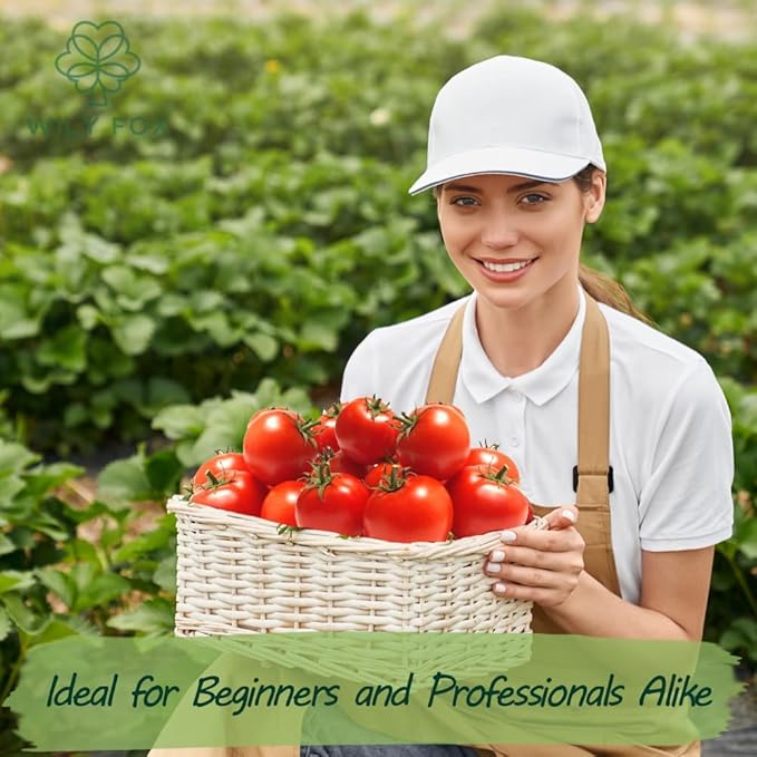 Premium Big Tomato Seeds – 300 Heirloom Non-GMO Seeds for Planting - Juicy, Large Red Tomatoes - Ideal for Home Garden, Outdoor, Patio, Containers, Vegetables, Fresh Tomato Gardening