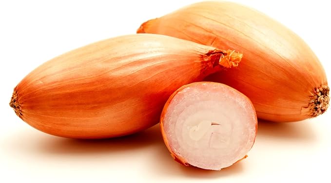 Park Seed Zebrune Shallot Seeds – Heirloom French Variety, Mild Sweet Flavor, Excellent Storage, High-Yield and Cold-Tolerant, Great for Spring Planting and Home Gardens – Pack of 200 Seeds