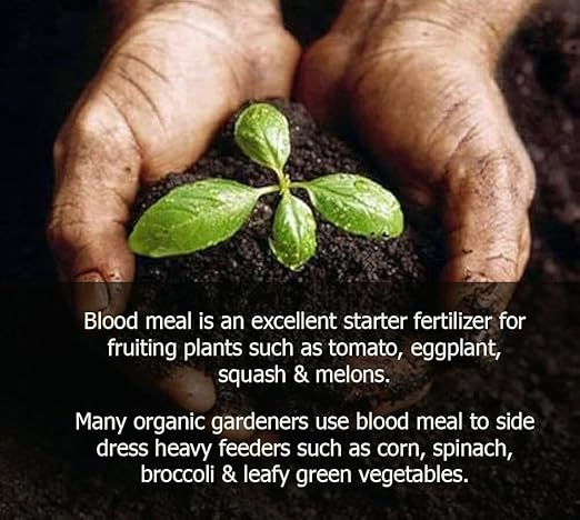 𝐁𝐄𝐒𝐓𝐒𝐄𝐋𝐋𝐄𝐑 Organic Blood Meal Fertilizer by Gardenera - 12-0-0 NPK - All-Natural Plant Food Source of Nitrogen for Organic Gardening, Flowers, Vegetables, Trees & Shrubs [8 OZ]