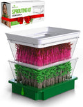 2026 Upgraded 2-Tier Stackable Seed Sprouter with Air Holes & Easy Sink-Draining Spout Tray – Soil-Free Sprouting System for Broccoli, Alfalfa & Bean Sprouts.