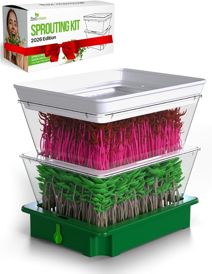 2026 Upgraded 2-Tier Stackable Seed Sprouter with Air Holes & Easy Sink-Draining Spout Tray – Soil-Free Sprouting System for Broccoli, Alfalfa & Bean Sprouts.