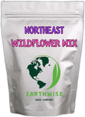 Earthwise Northeast Native & Naturalized Wildflower Mix – 1/4 lb – Pollinator-Friendly, Easy-Grow Seeds – Covers 500 sq. ft.