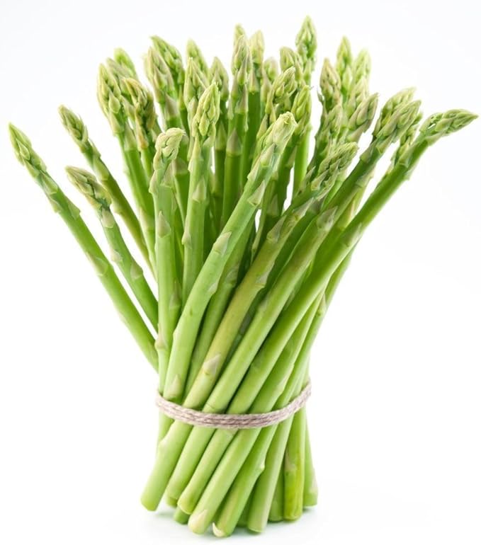 Bulk Organic Mary Washington Asparagus Seeds (5 lb) Non GMO