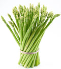 Bulk Organic Mary Washington Asparagus Seeds (5 lb) Non GMO