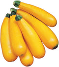Burpee Golden Zucchini Summer Squash Seeds 50 seeds