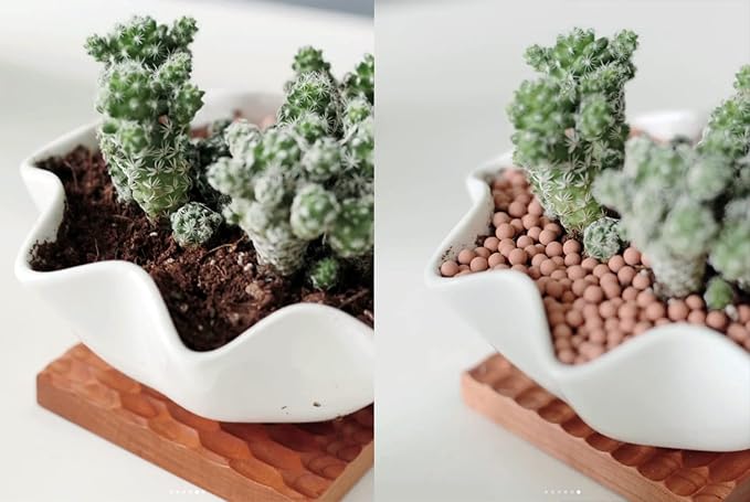 2.0 LB Clay Pebbles, 1/8'' Gardening Ceramsites Growing Media for Succulents Orchids, Aquaponics, Aquaculture Hydroponics. Ceramsite Clay Rocks Decor Cultivation, Leca for Plants
