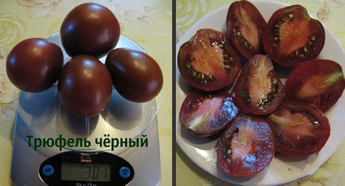 Seeds Tomato Black Truffle Vegetable Garden Heirloom for Planting Non GMO