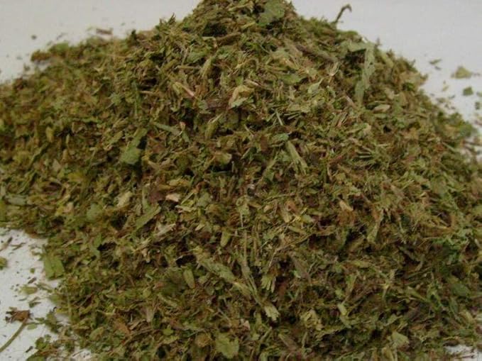 Stevia Seeds (20+ Seeds) | Non GMO | Vegetable Fruit Herb Flower Seeds for Planting | Home Garden Greenhouse Pack