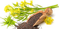 NIKA SEEDS - Seeds Vegetable Black Mustard - 500 Seeds