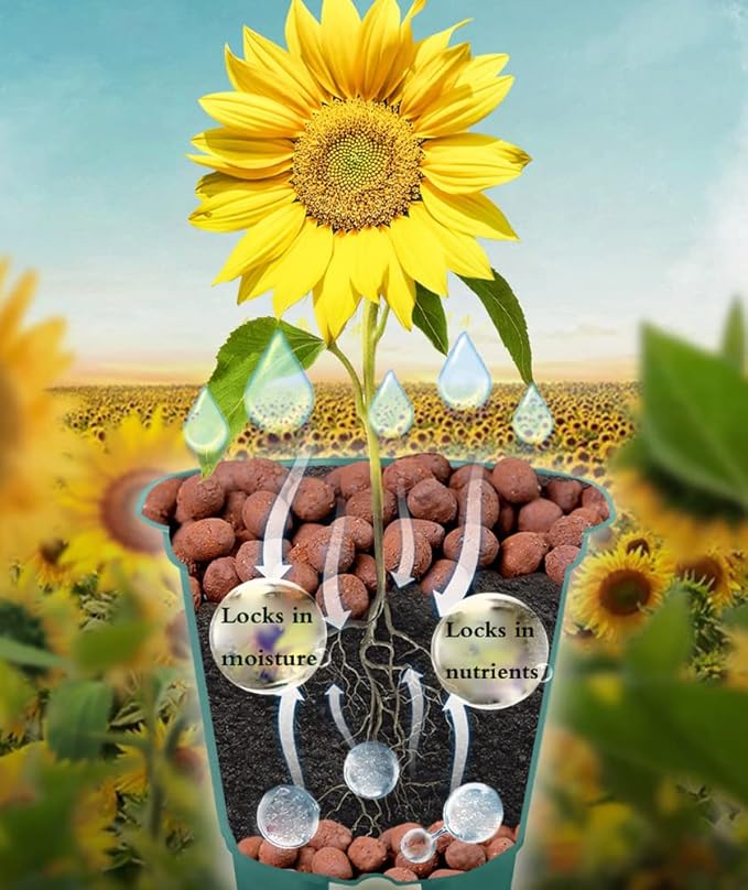 Voulosimi Clay Pebbles Hydroponic Rocks Organic Ceramsite Grow Media for Horticultural,Orchids,Drainage (6.5LB)
