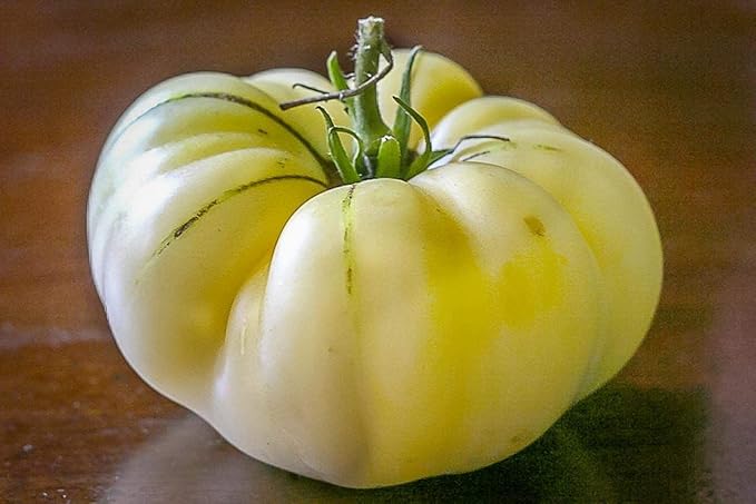 NIKA SEEDS - Seeds Vegetable Tomato Great White - 25 Seeds