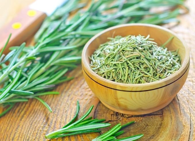 SeedsUP - 50+ Seeds Rosemary - Herb Green