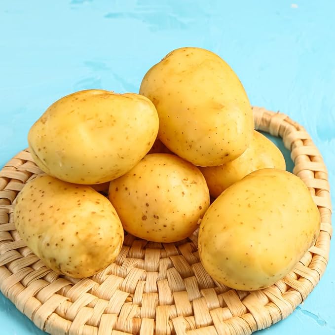 2 Lbs Yellow Potato Tubers High Yielding for Outdoor Planting,Vegetables Potatoes Plants Bulbs Seeds, Heirloom Seed Potato Live Tuber
