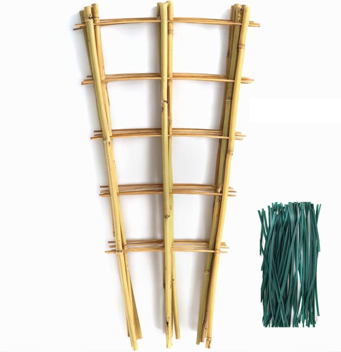 SWANGSA 6 Pack Bamboo Trellis 24 Inches for Climbing Plants, Fan-Shaped Bamboo Plant Trellis Cucumber Tomato Trellis with 50pcs Twist Ties for Outdoor and Indoor Potted Plants