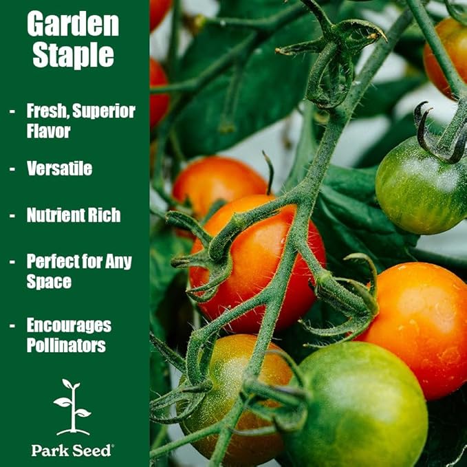 Park Seed Cherry Tomato Seeds, Planting Vegetables, Easy to Grow, Non-GMO, Variety of Colors and Sizes, Spring Garden, Sweet Million Hybrid, Pack of 30