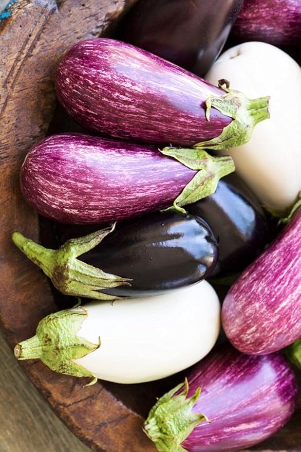 Seeds Eggplant Aubergine Long Mix Heirloom Vegetable for Planting Non GMO