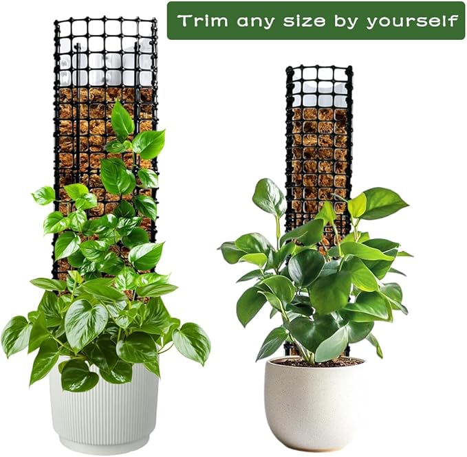 Expandable D Shaped Moss Pole, Customizable Width Moss Pole Monstera Plant Support, Stack up to 47 inches in Height, Widen to Any Size, DIY Thickened Transparent Plant Support for Climbing Plants
