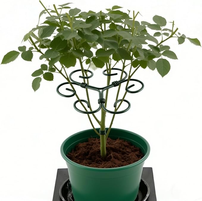 2Pack Green Iron Monstera Support,4.1 * 4.1IN Plant Support Stakes for Indoor Plants,Durable Green Metal Plant Stem Supports-Easy Installation.