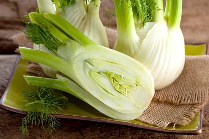 150 Bulbing Fennel Vegetable Seeds for Planting - Grow Preludio Fennel Bulbs for Cuisine
