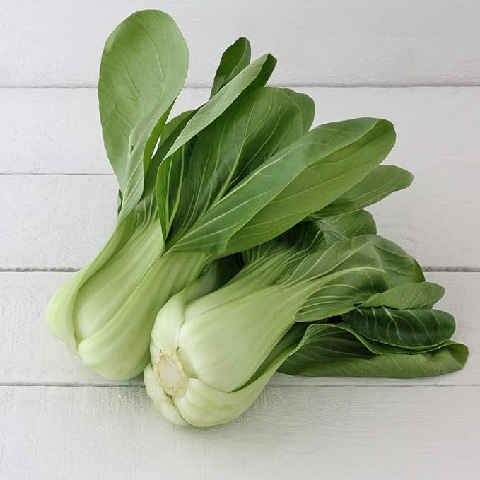 Seeds Chinese Cabbage Bok Choy Heirloom Vegetable Non GMO
