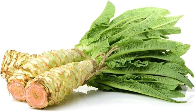 Seeds Asparagus Lettuce Uysun for Salad Non GMO Vegetable for Planting 1000 Seeds