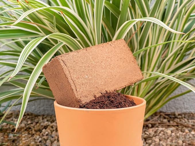 Coco Coir for Plants 6-Pack – 2.4 Gallons Compressed Coconut Coir Bricks, 1.5 lb. Bulk, Low EC, pH Balanced, Natural Coco Peat for Indoor & Outdoor Gardening, Potting Soil, Indoor Plant Soil