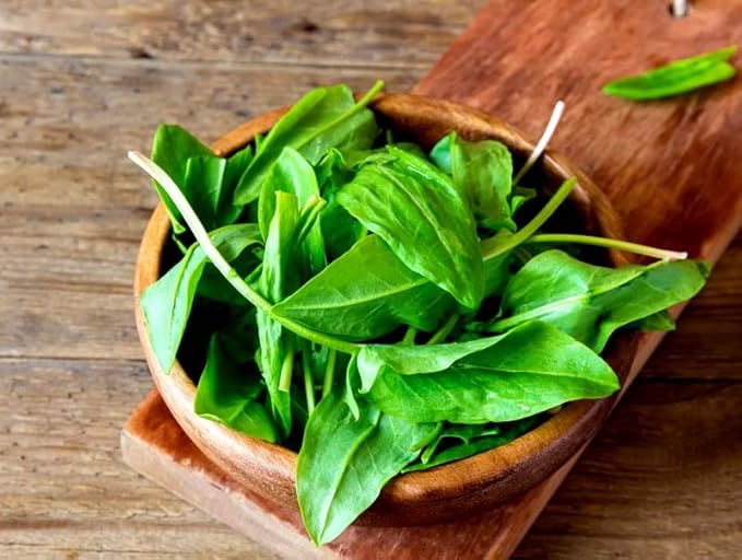 Garden Sorrel 2000+ Seeds for Planting Non-GMO