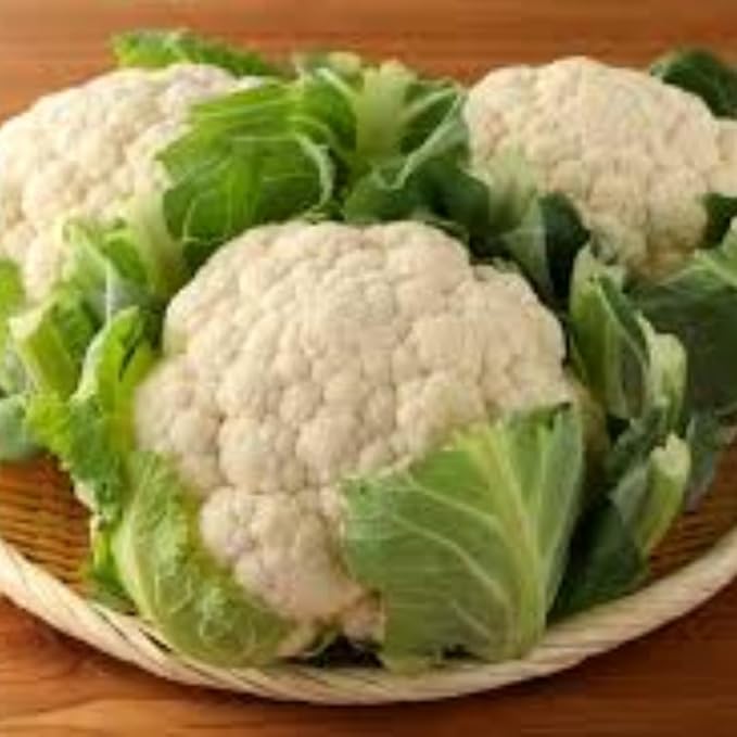 3 Cauliflower Plants Live, Cauliflower Live Plants, High Yield Vegetable Plants, 4 to 6 Inc